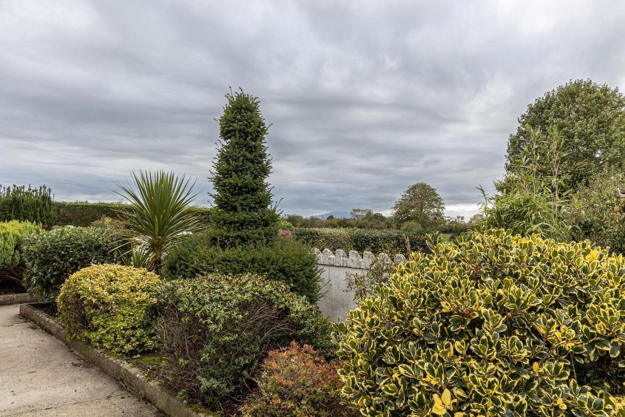 Hally'S Farm Kilkenny Dış mekan fotoğraf