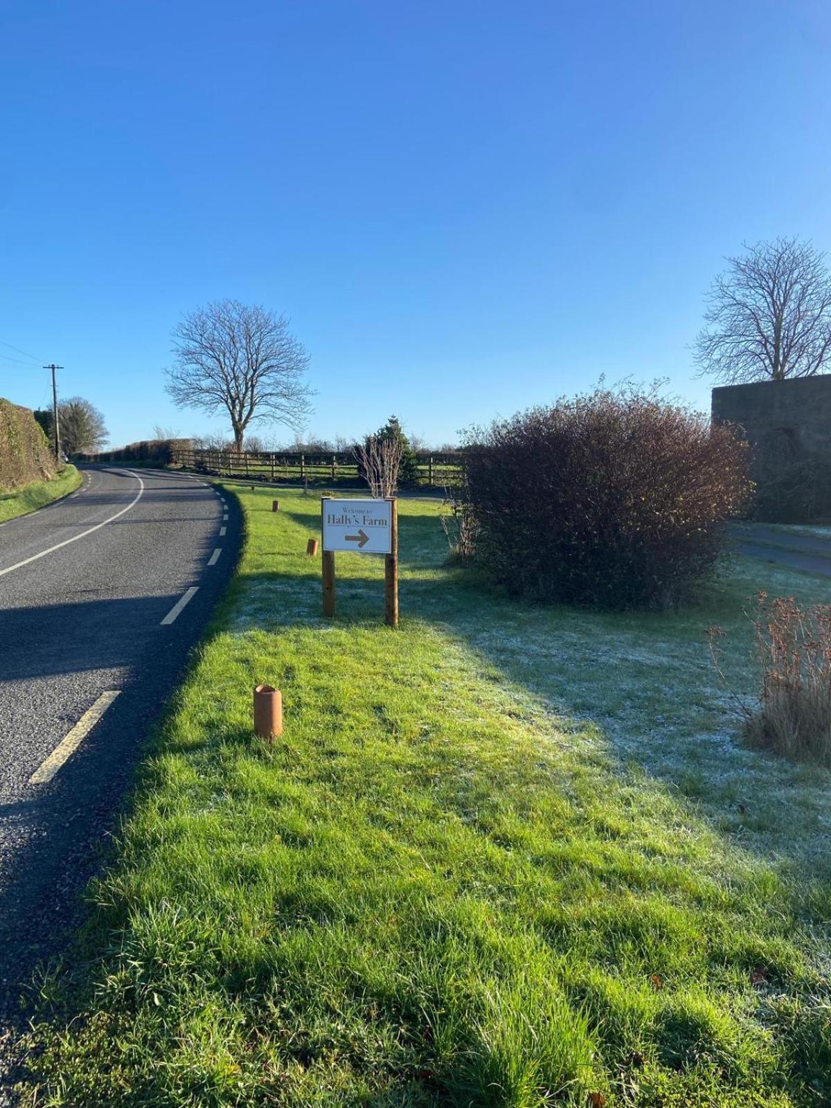 Hally'S Farm Kilkenny Dış mekan fotoğraf